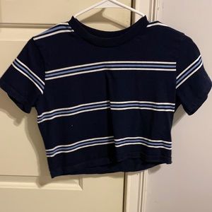 Brandy Melville Crop Top